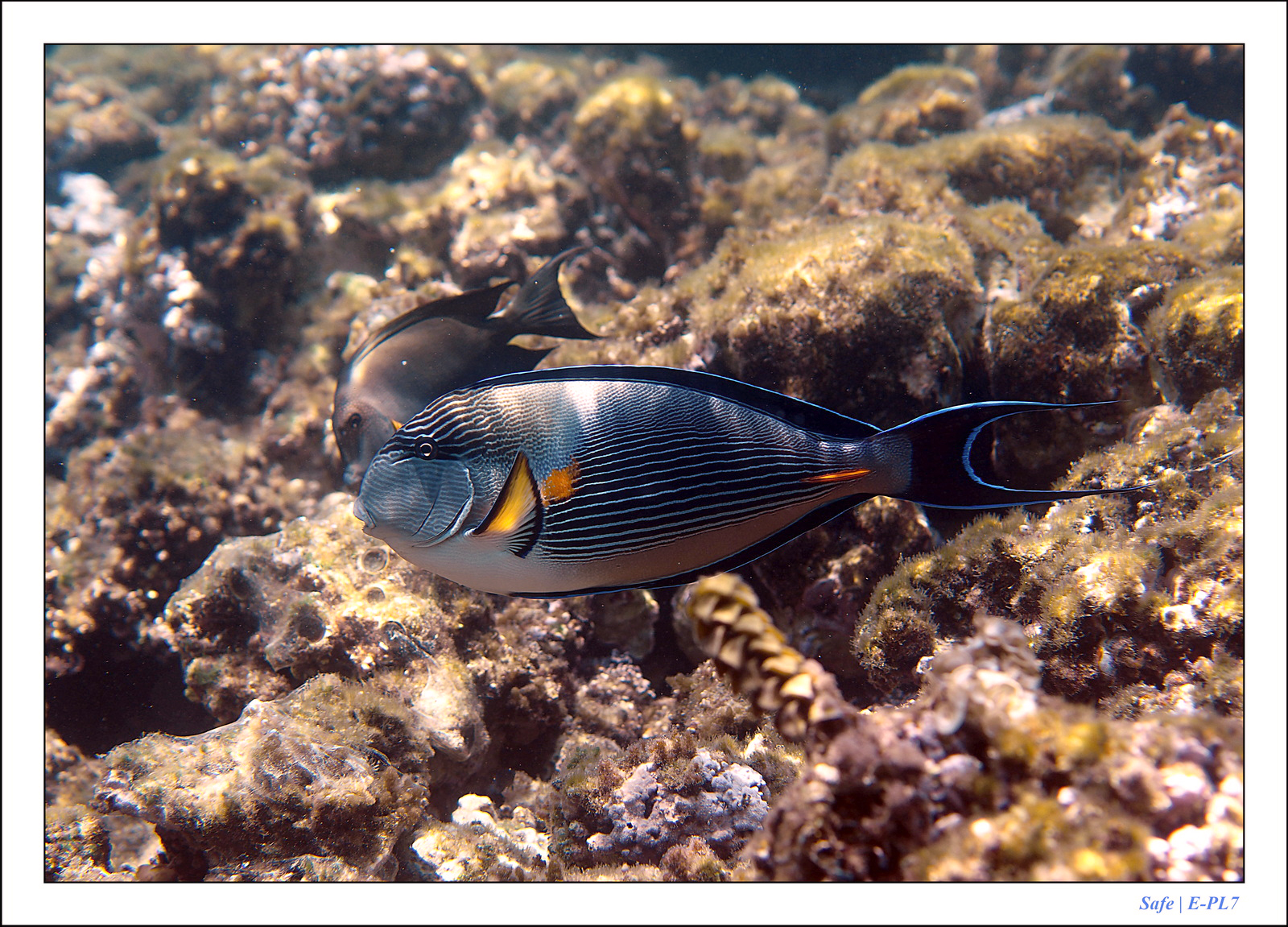 Hurghada - Juillet 2021 - 104